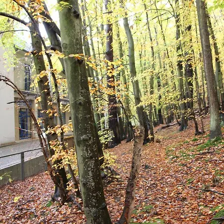 Homestay Lesny Sopot