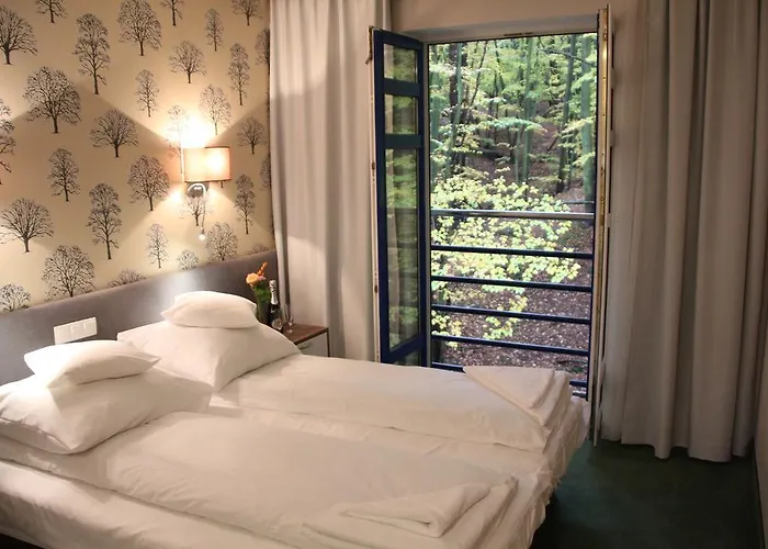 Homestay szállás Lesny *