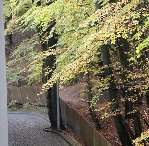 Homestay szállás Lesny Sopot